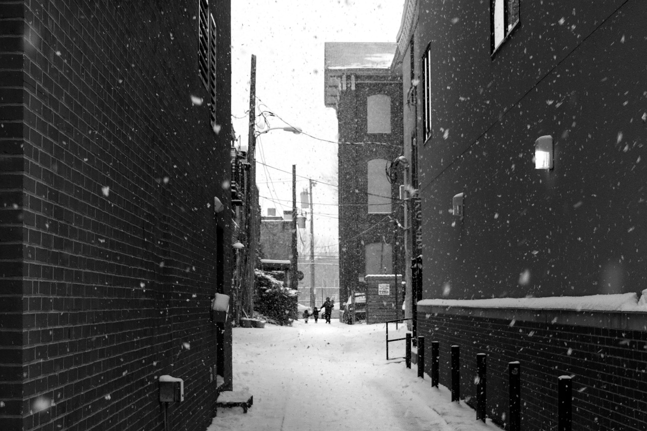 snow winter white free photo