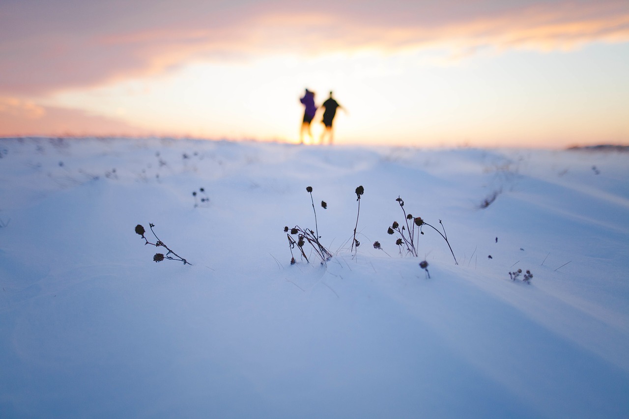 snow winter mountain free photo