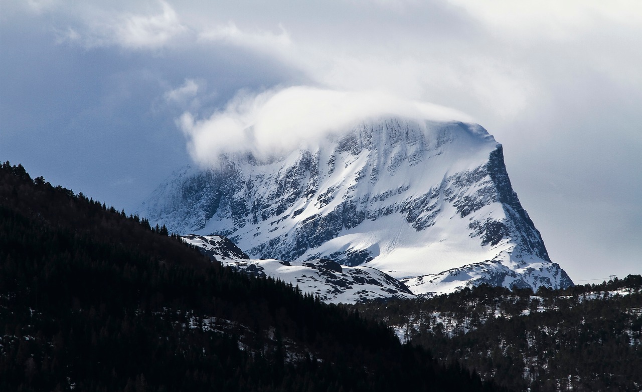 snow winter white free photo