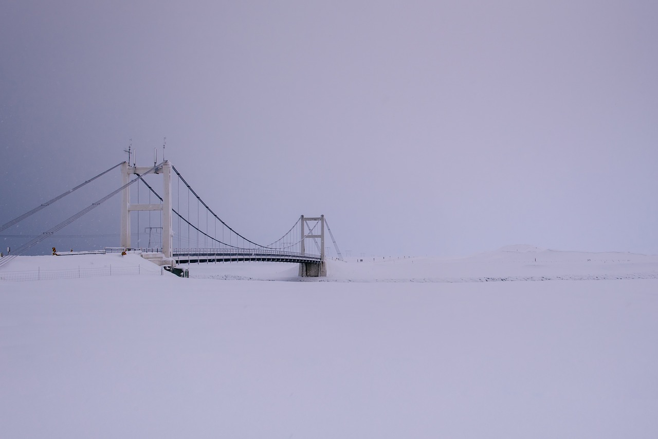 snow winter bridge free photo