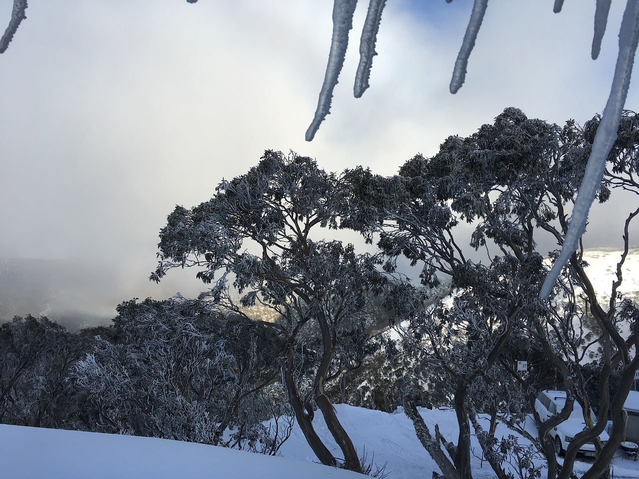 snow skiing snowboarding free photo