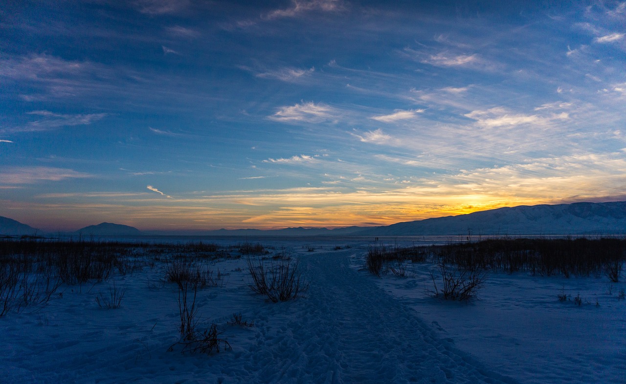 snow winter cold free photo