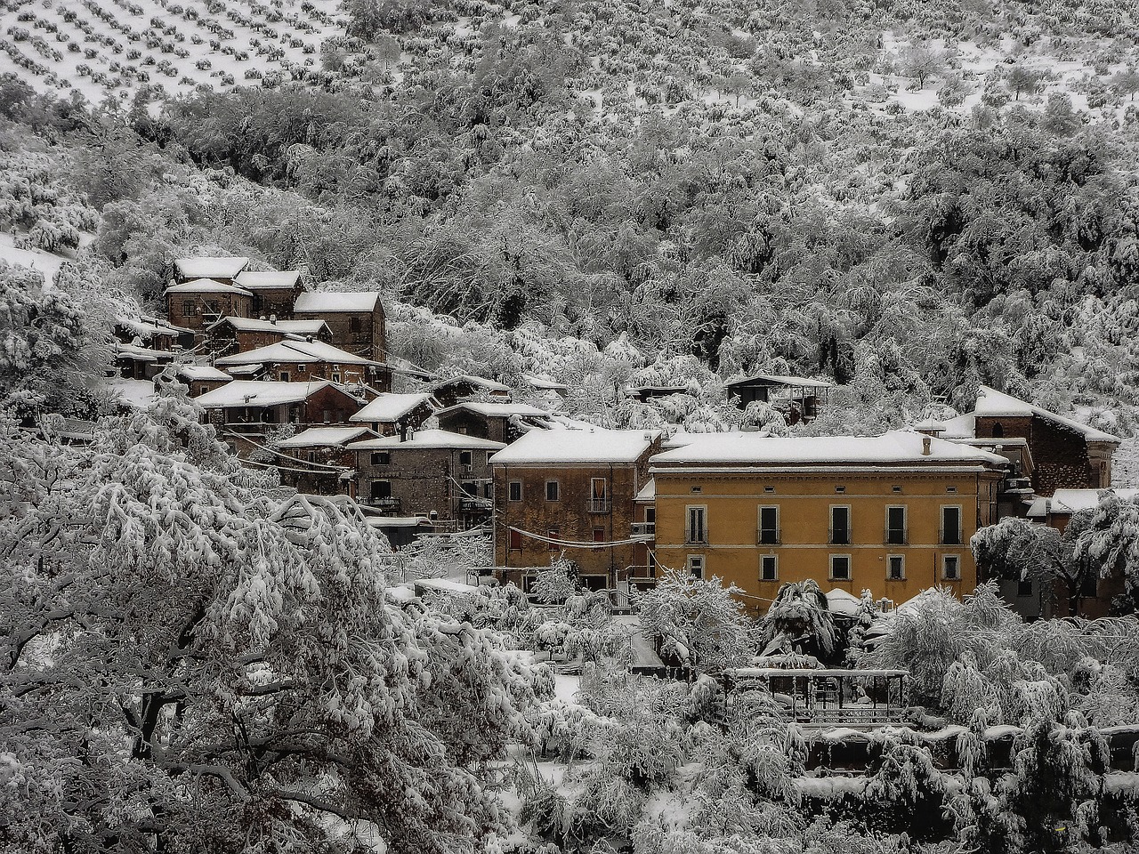 snow winter castrocielo free photo