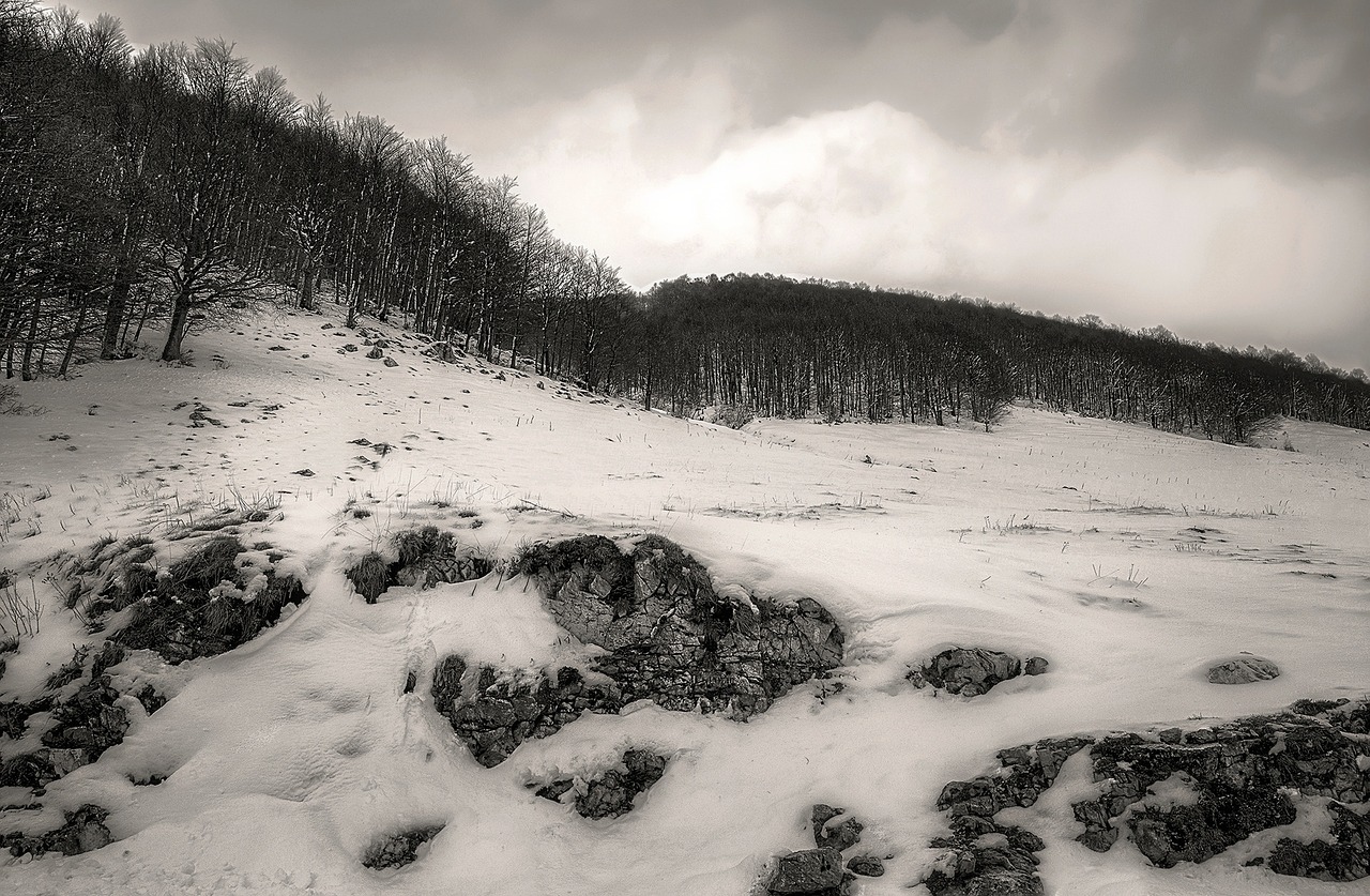 snow mountain national park free photo