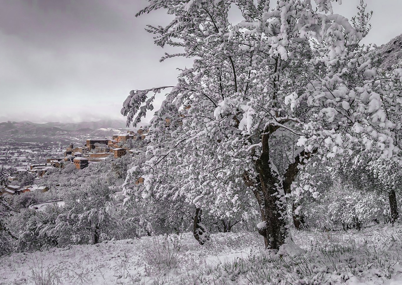 snow winter italy free photo