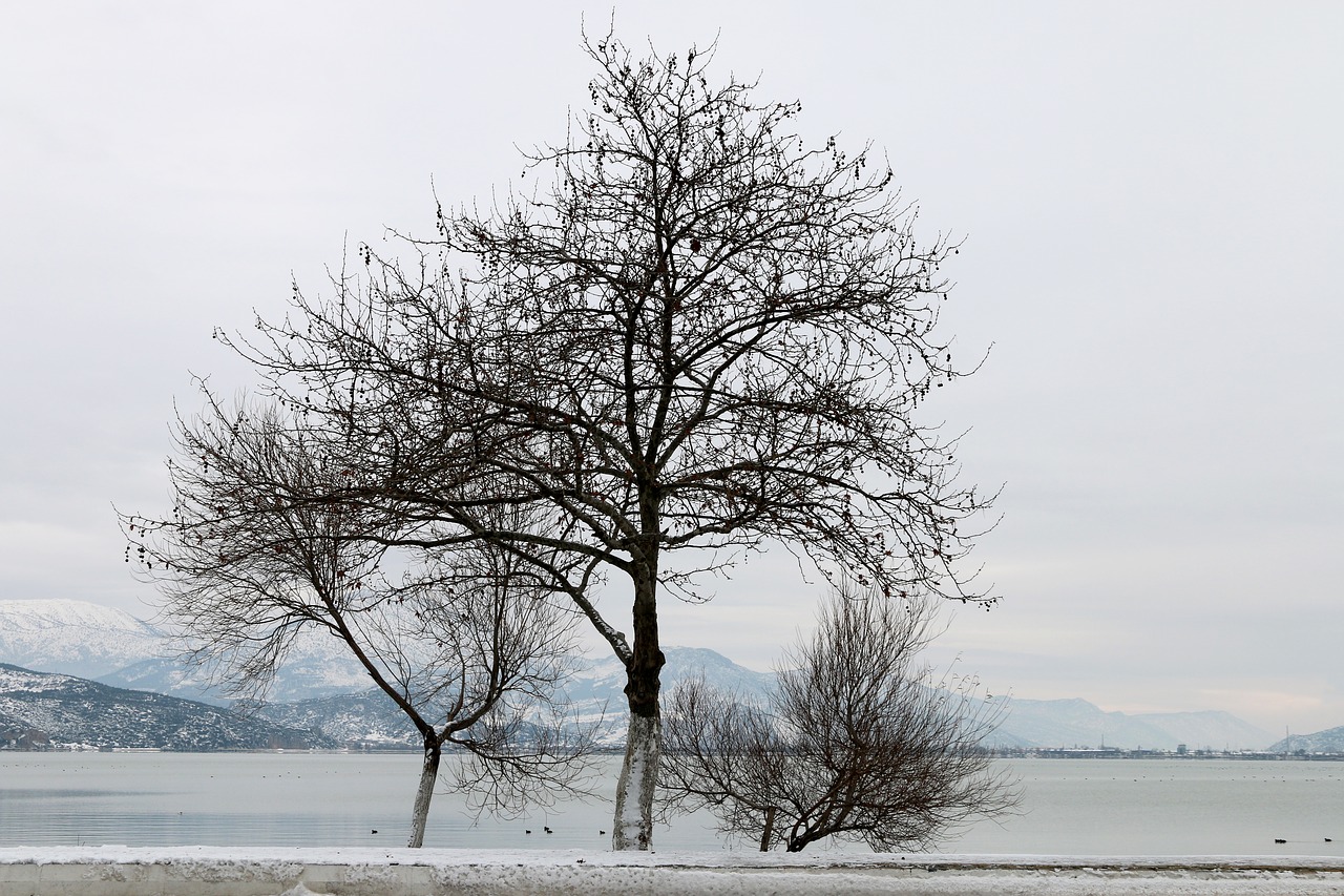 snow landscape nature free photo