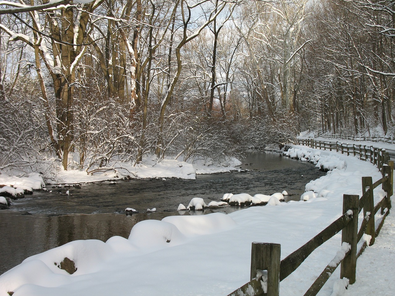 snow trees water free photo