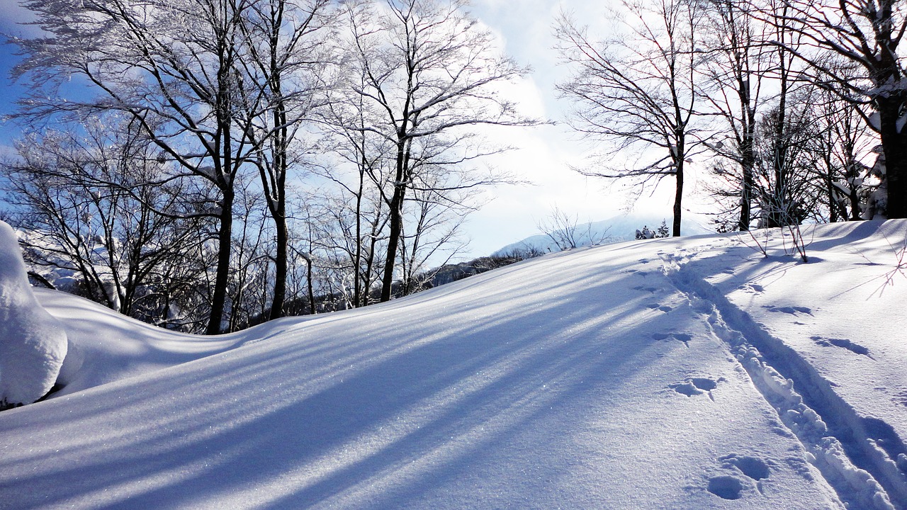 snow sunbeams footprints free photo