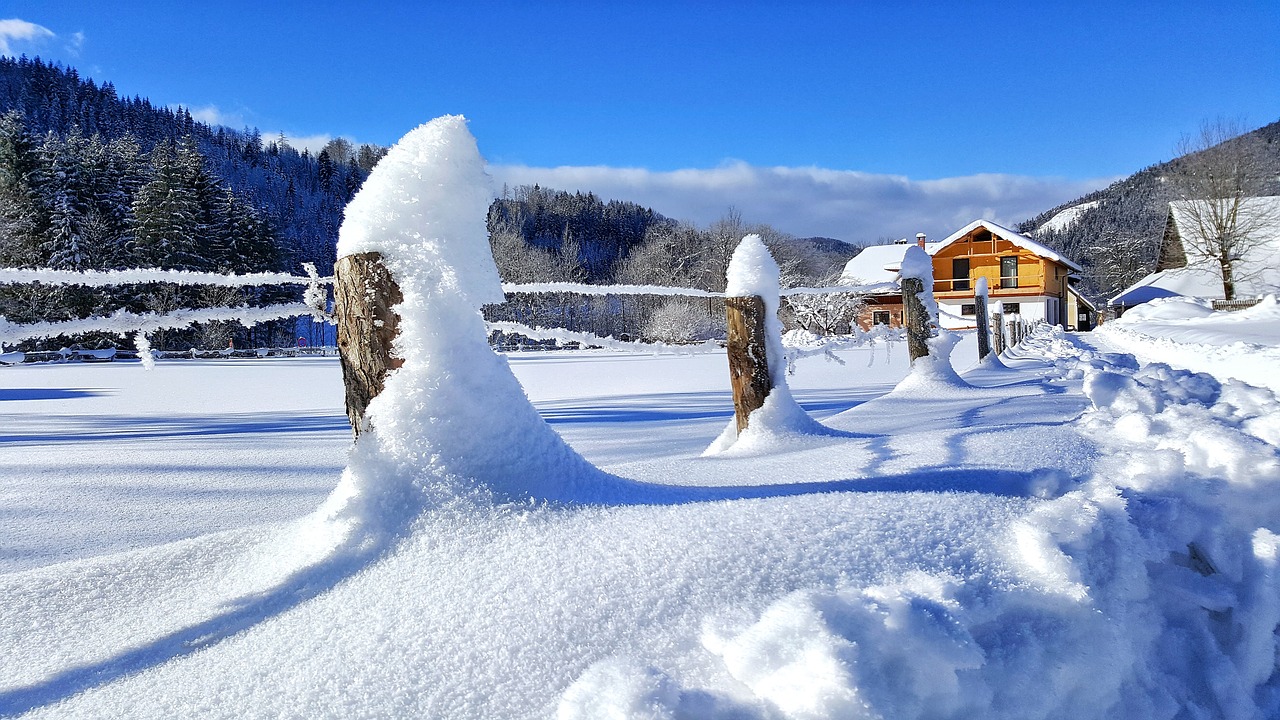 snow nature winter free photo