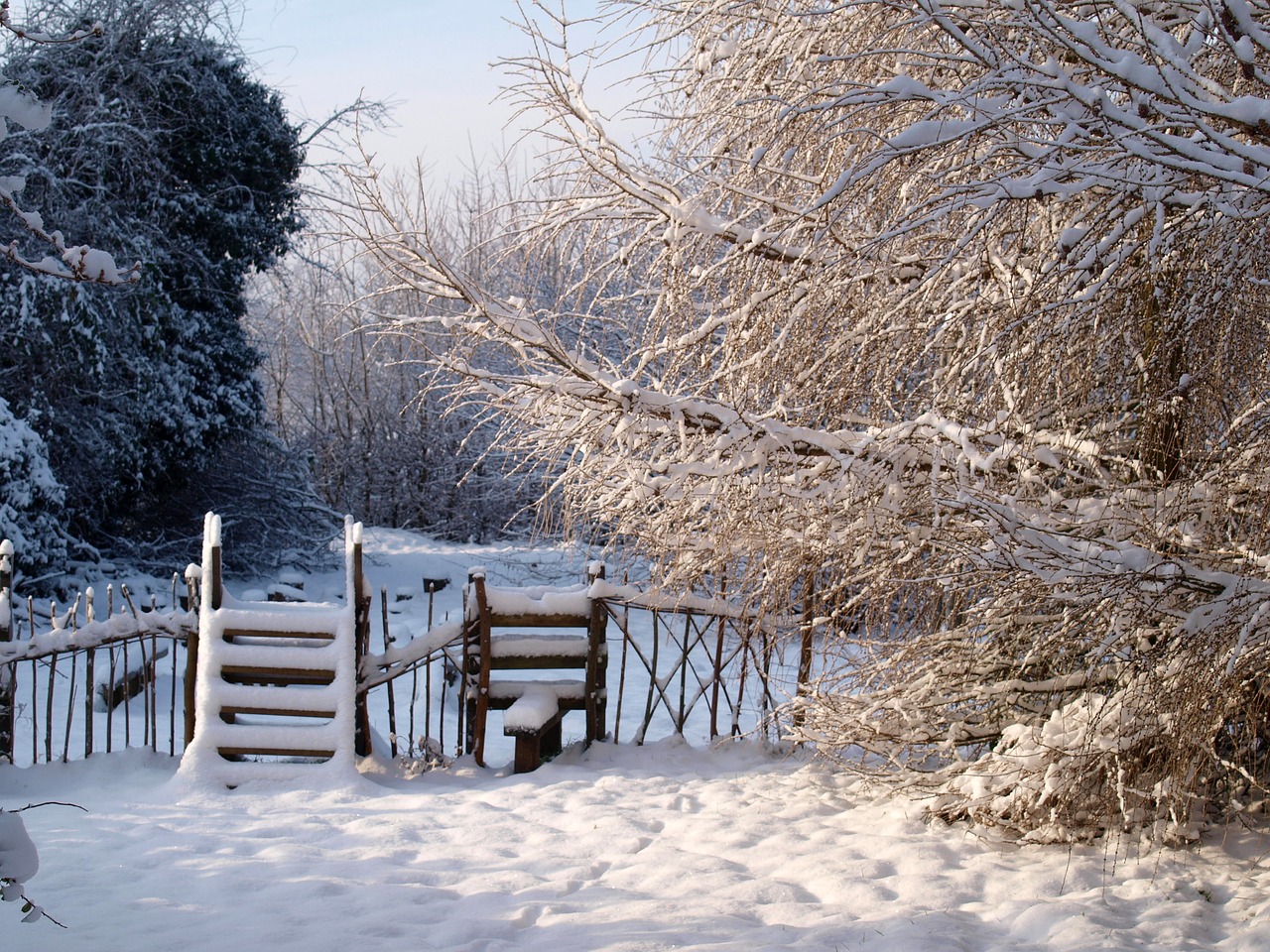 snow winter landscape free photo