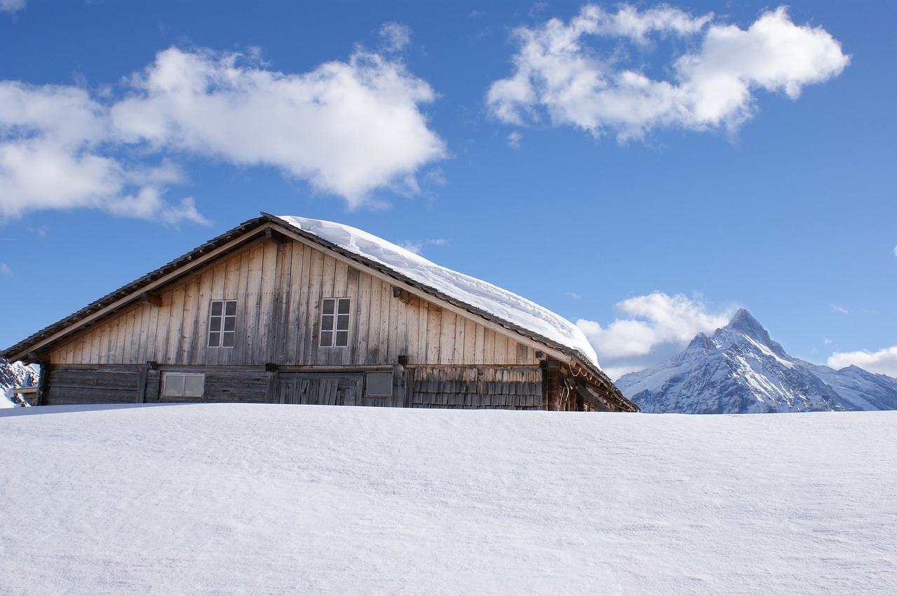 snow landscape winter free photo