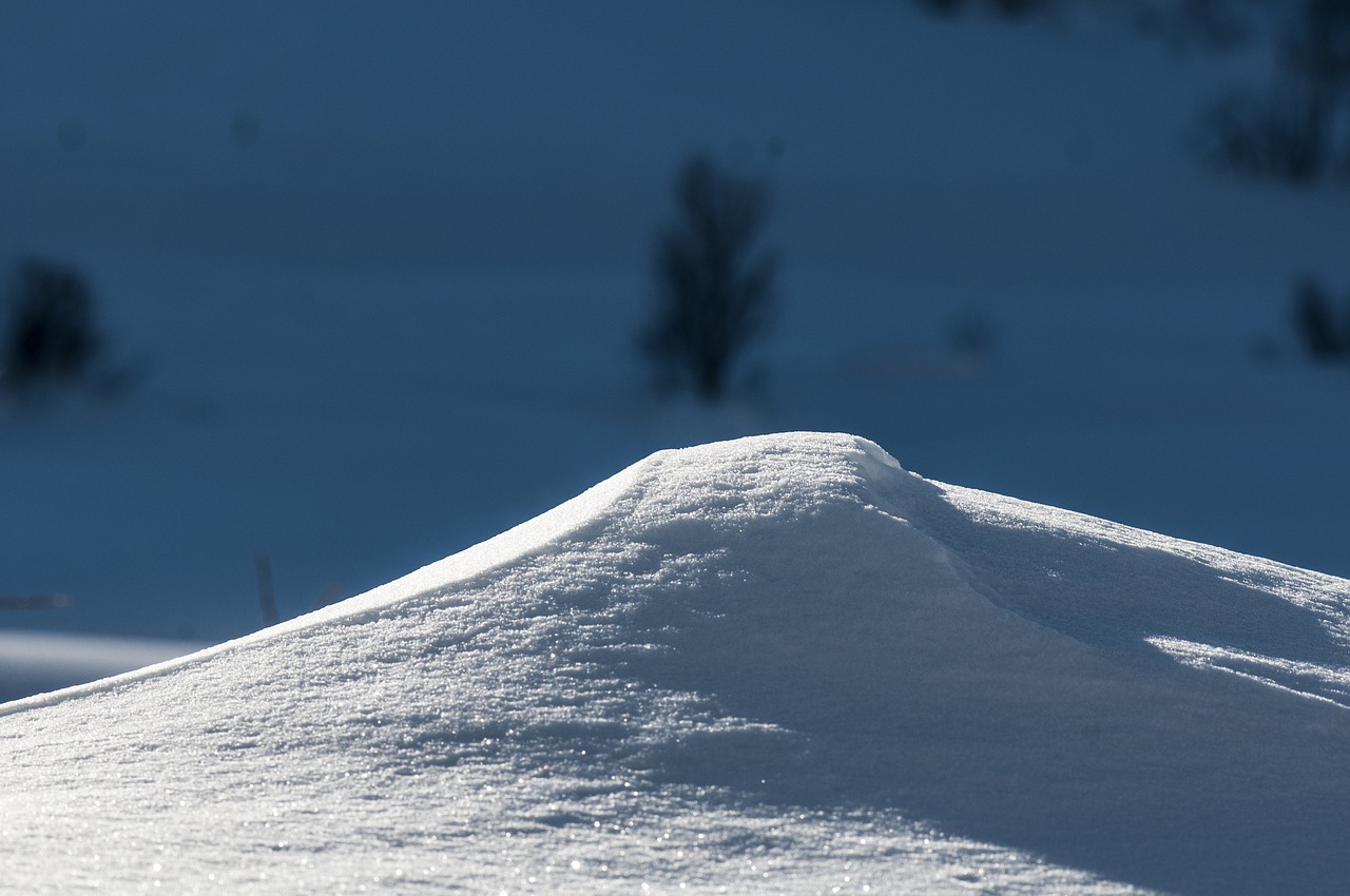 snow winter nature free photo