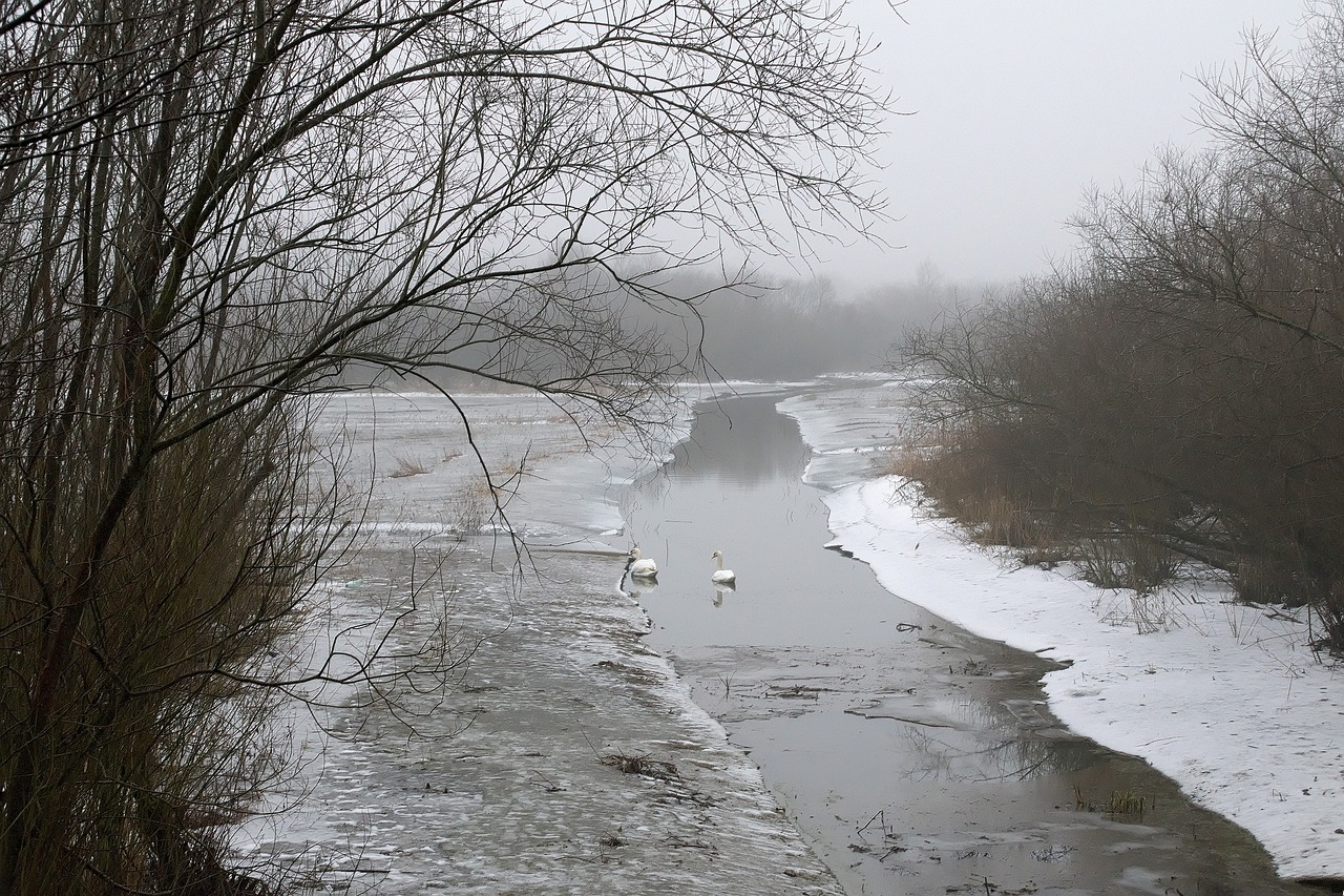 snow winter view free photo