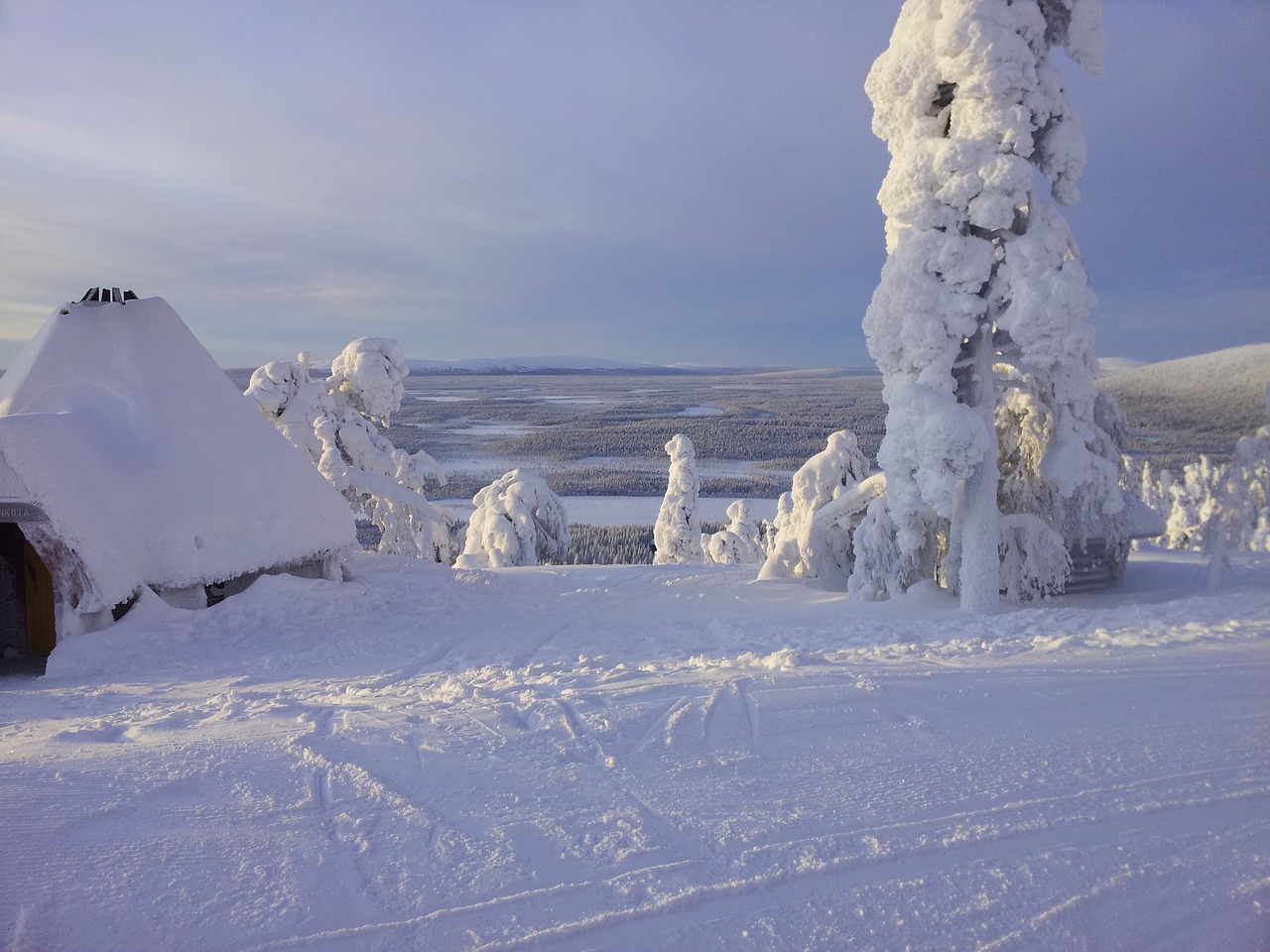 snow skiing lapland free photo