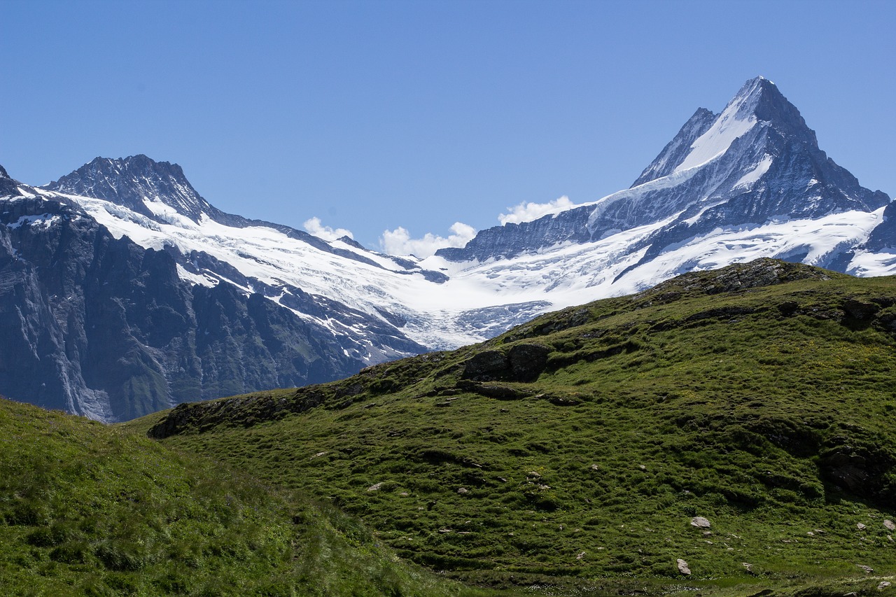 snow mountain alps free photo