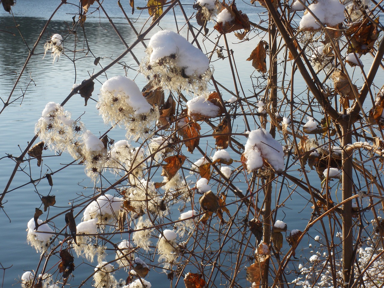 snow lightness ball free photo