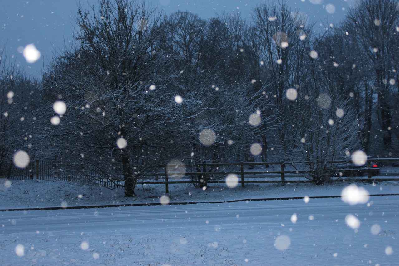 snow dark snow storm free photo