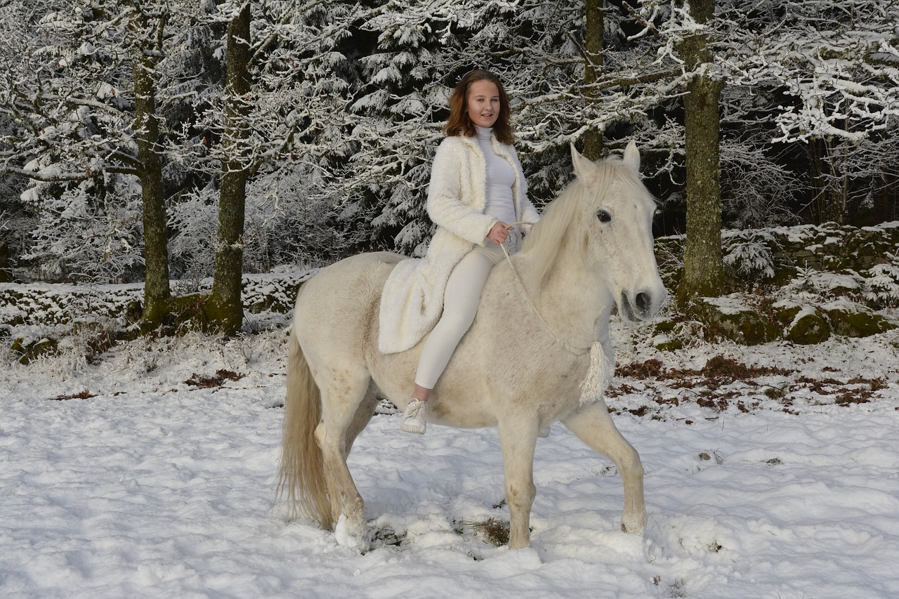snow beautiful horse free photo