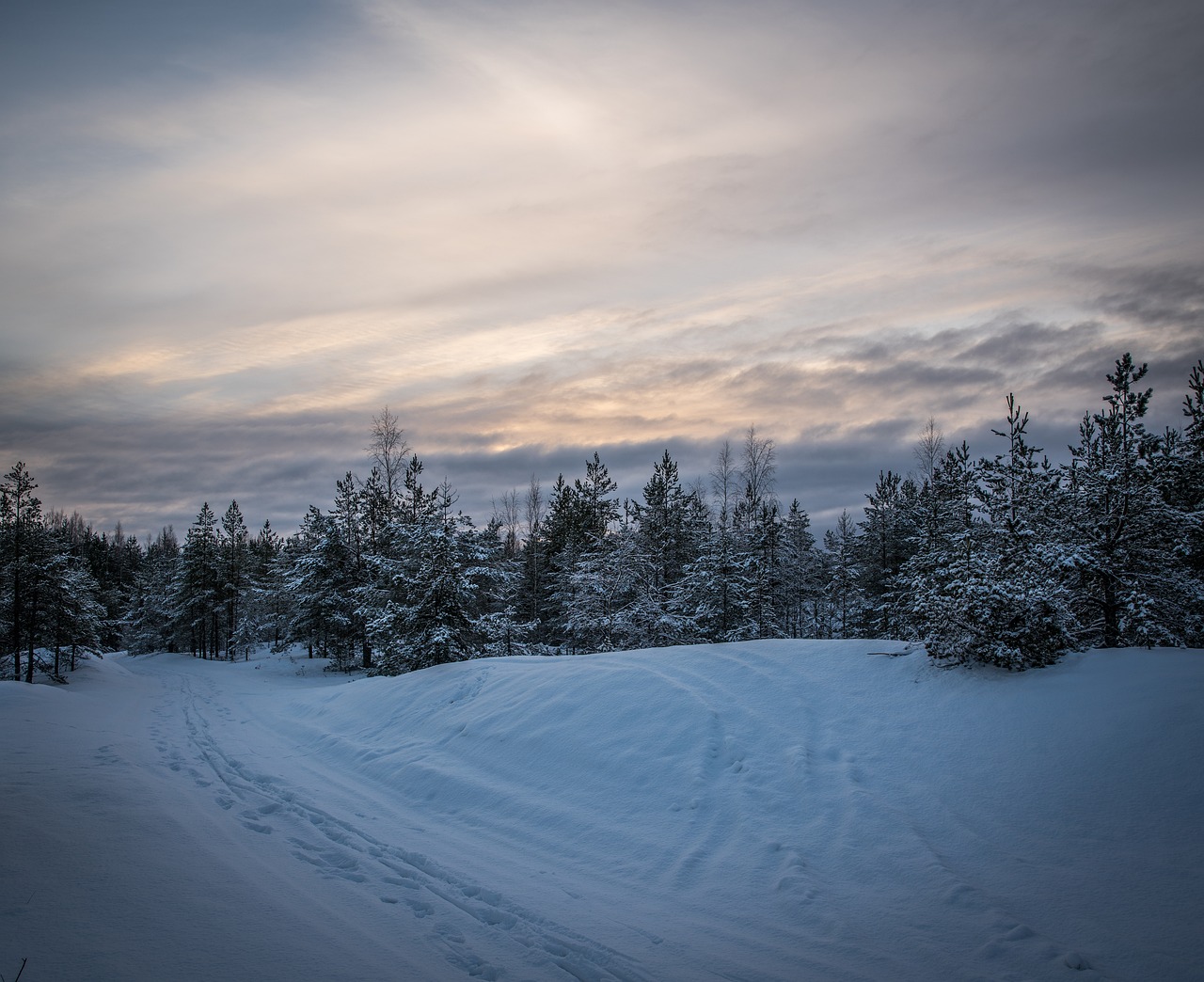 snow winter coldly free photo