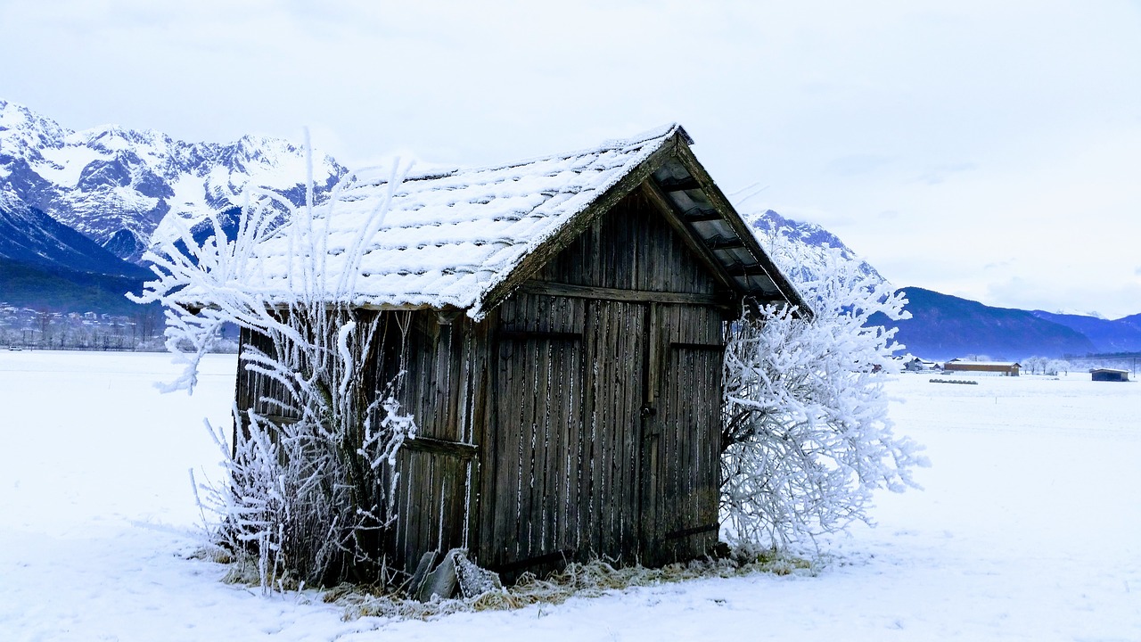 snow winter cold free photo