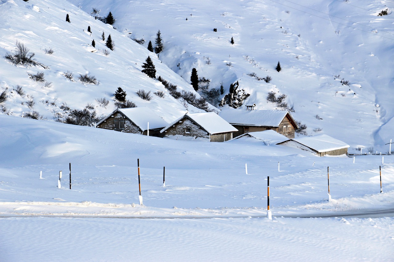 snow winter bergdorf free photo
