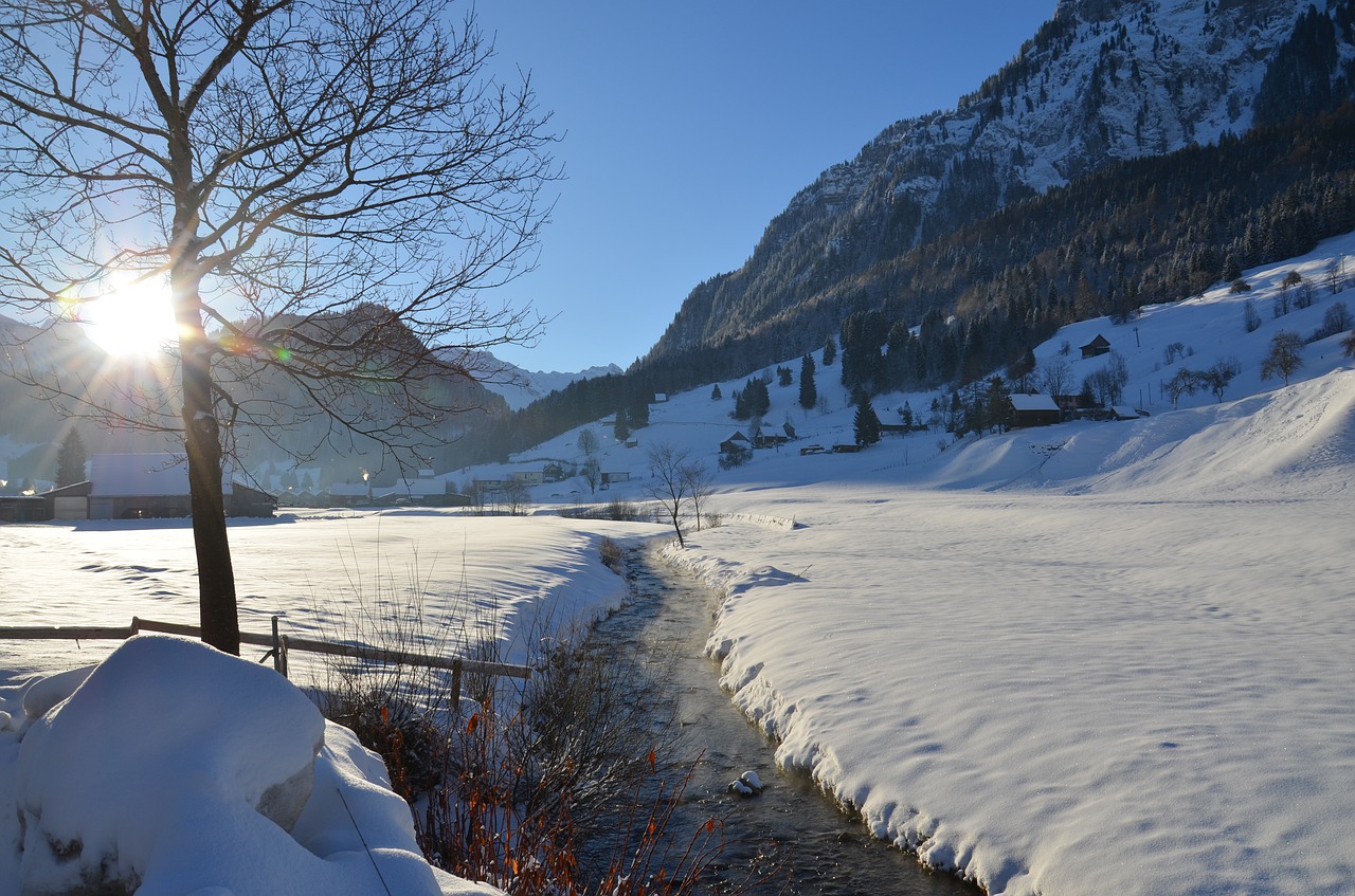 snow winter nature free photo