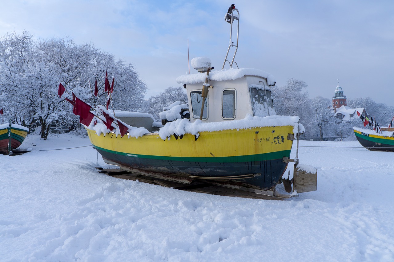 snow winter ice free photo