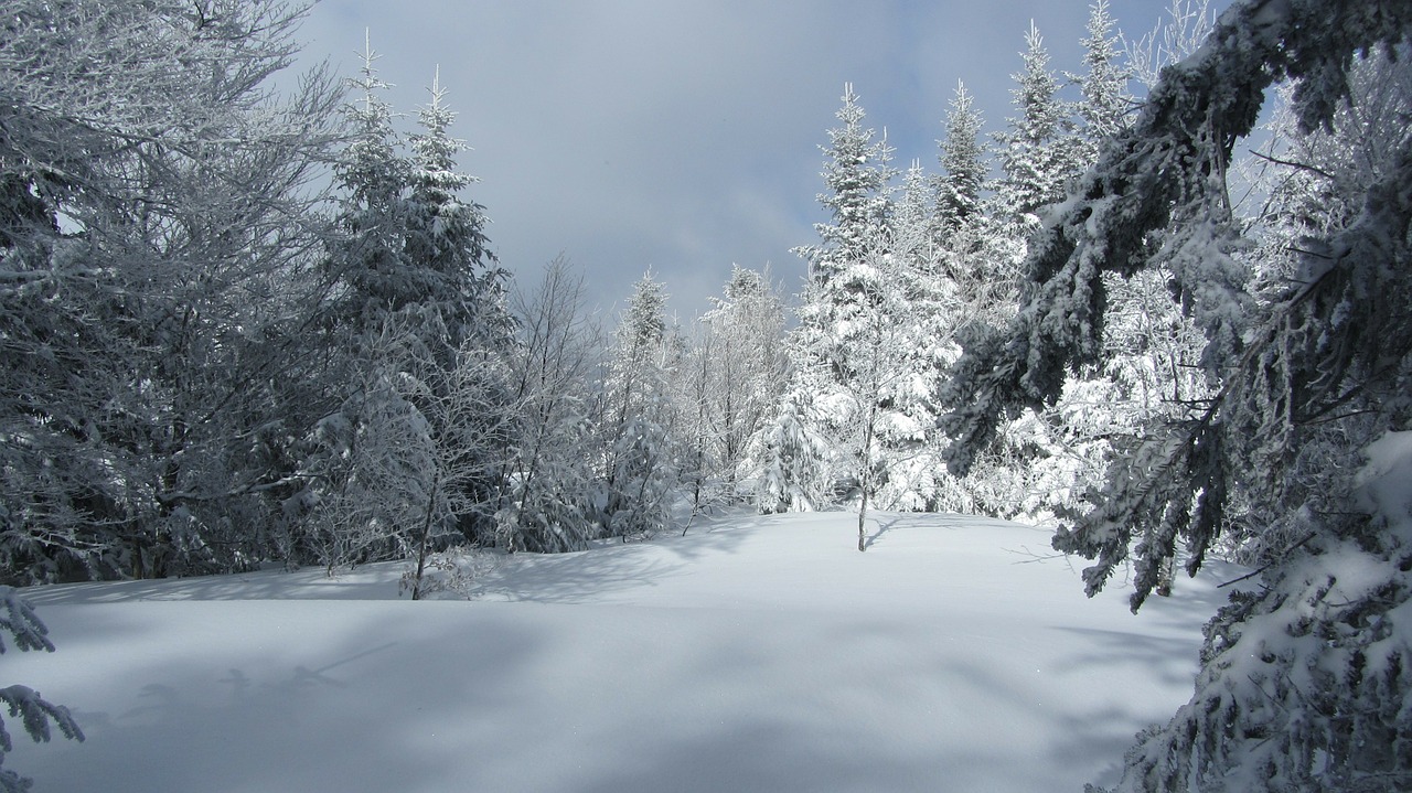 snow landscape white free photo