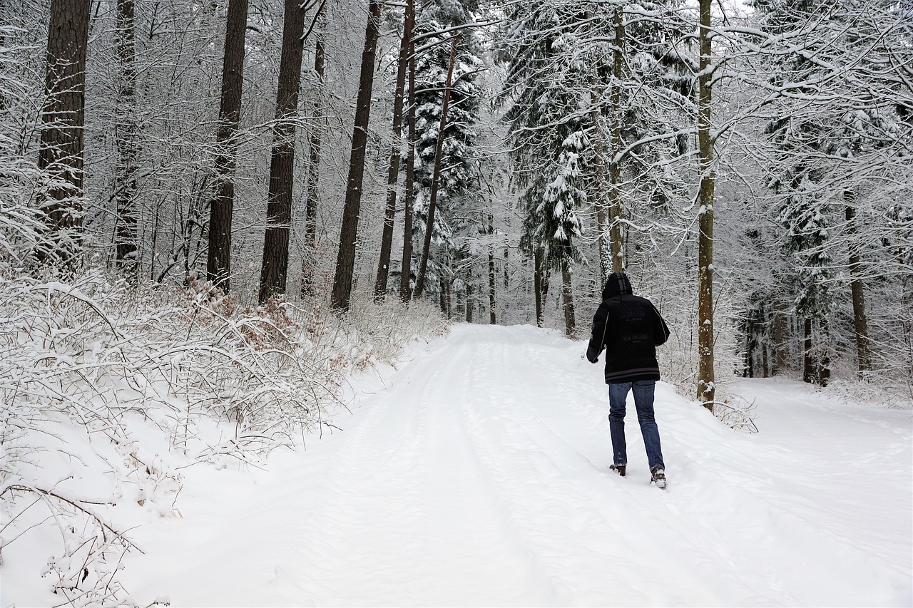 snow winter cold free photo