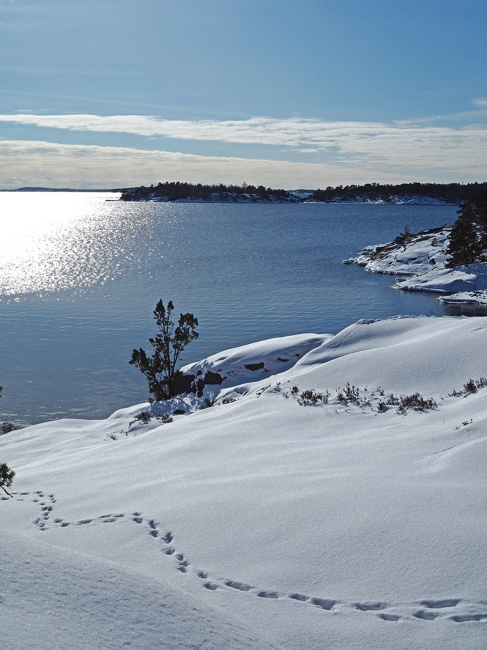 snow winter ice free photo