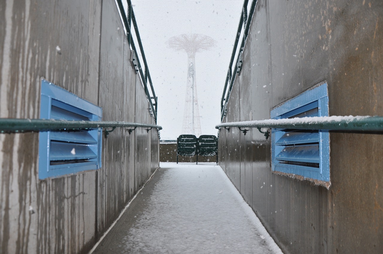 snow stadium ballpark free photo