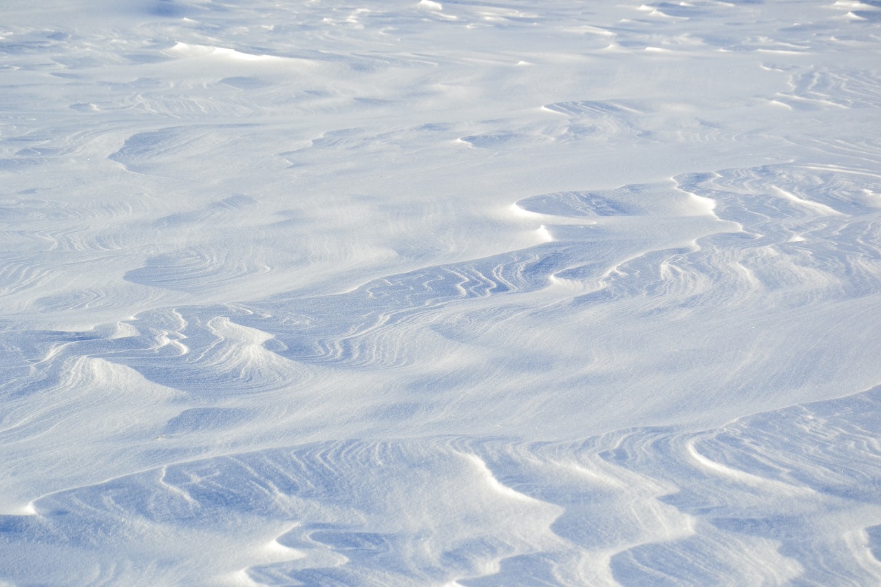 snow snowdrifts winter free photo