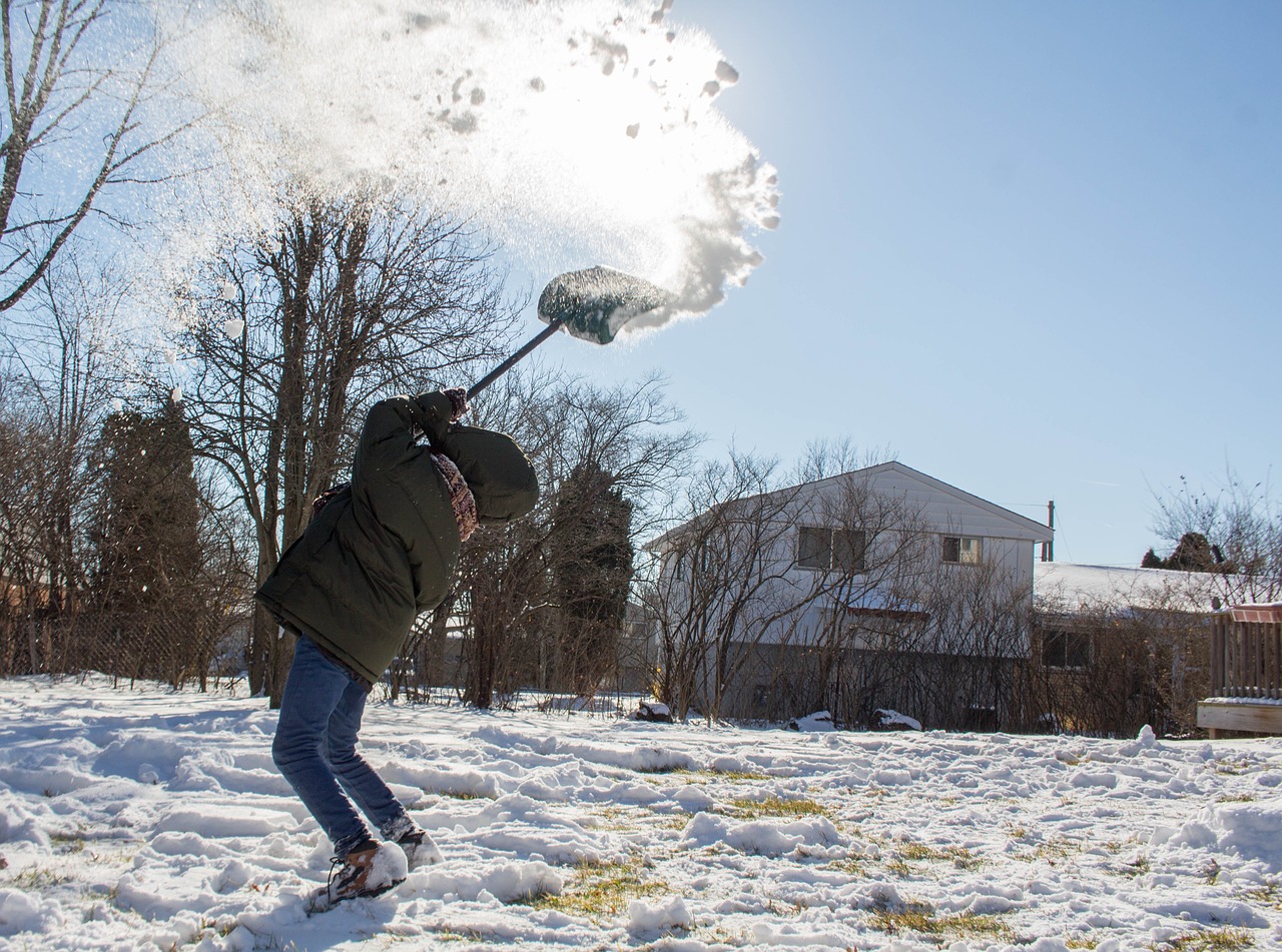 snow winter cold free photo