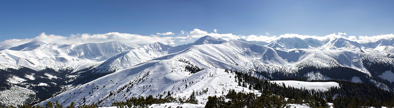 snow panorama winter free photo