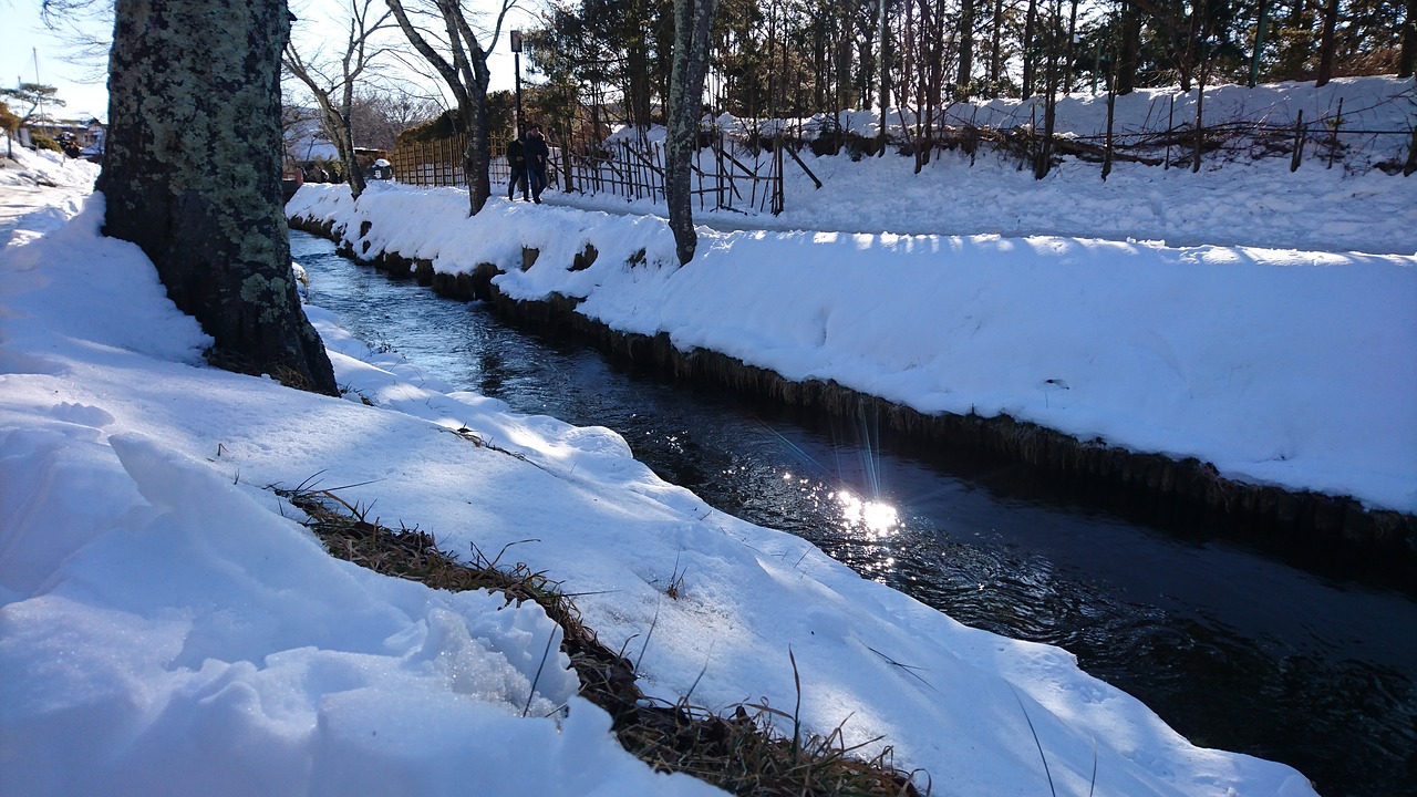 snow winter cold free photo