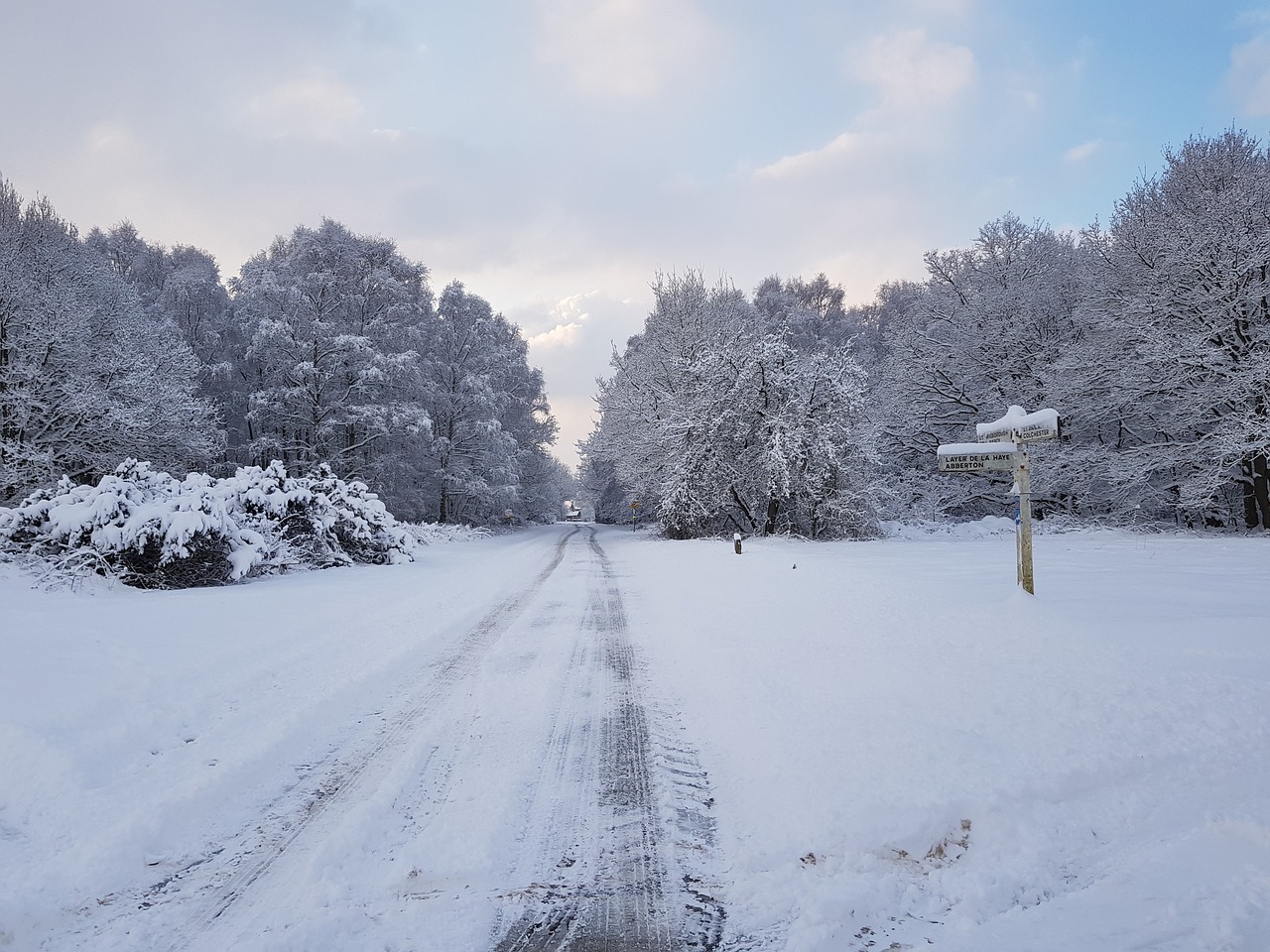 snow winter frozen free photo