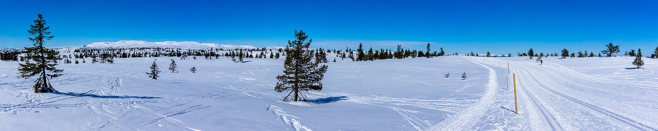 snow winter panorama free photo