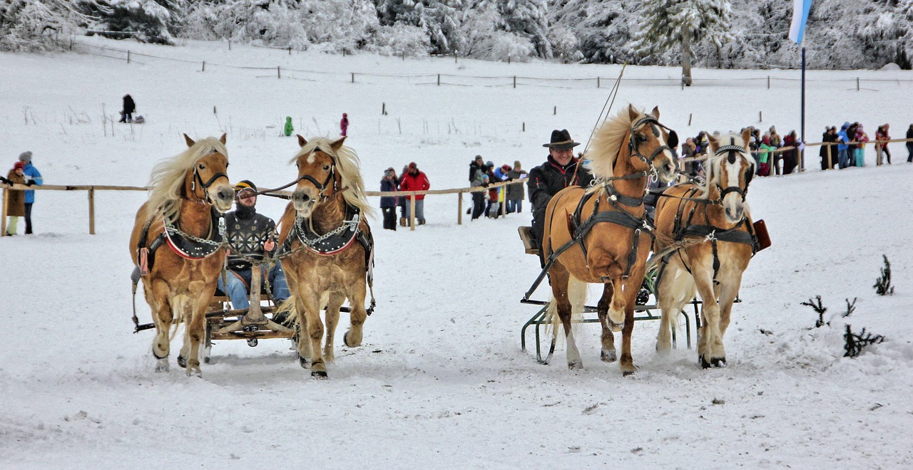 snow winter cavalry free photo