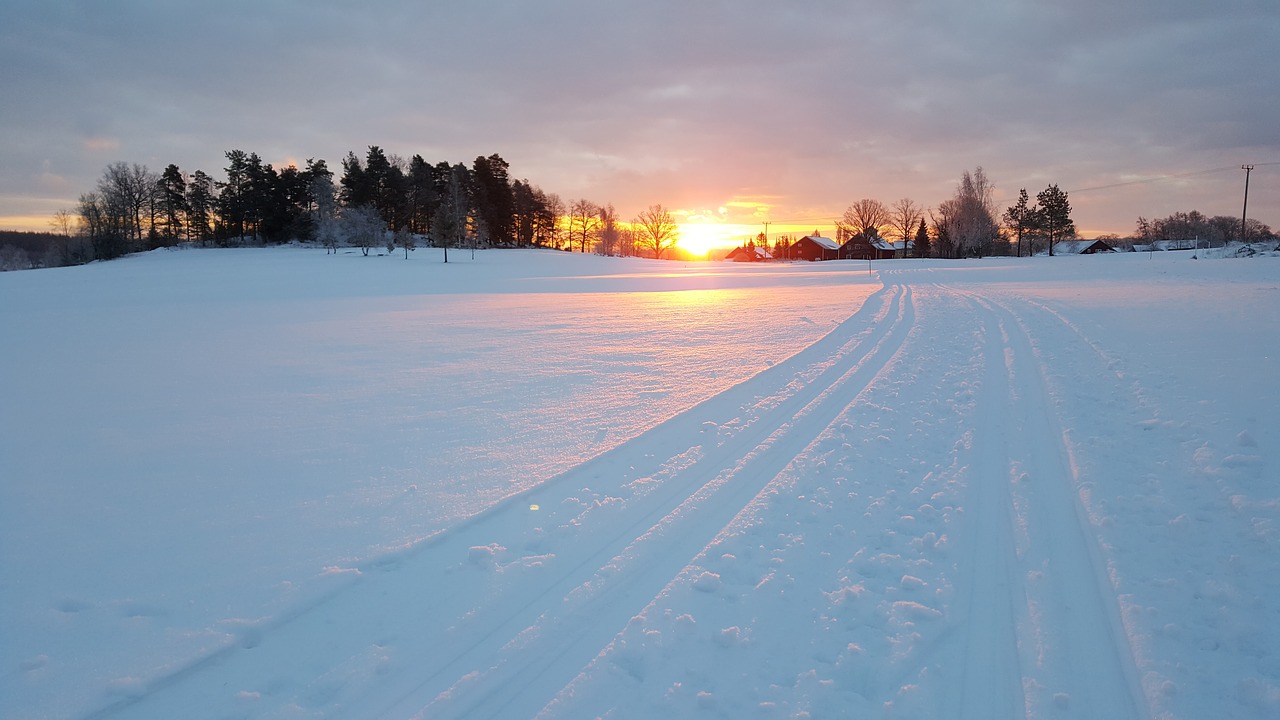 snow winter nature free photo