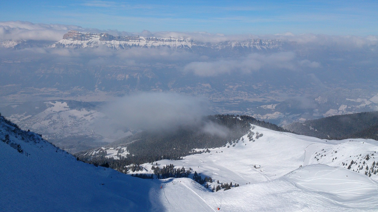 snow  panoramic  winter free photo