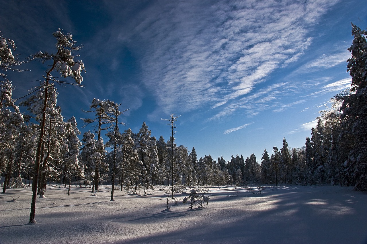 snow  the nature of the  landscape free photo