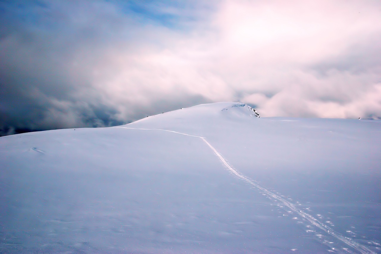 snow  winter  landscape free photo