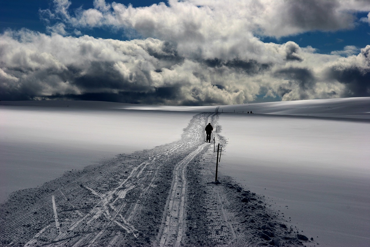 snow  the nature of the  landscape free photo