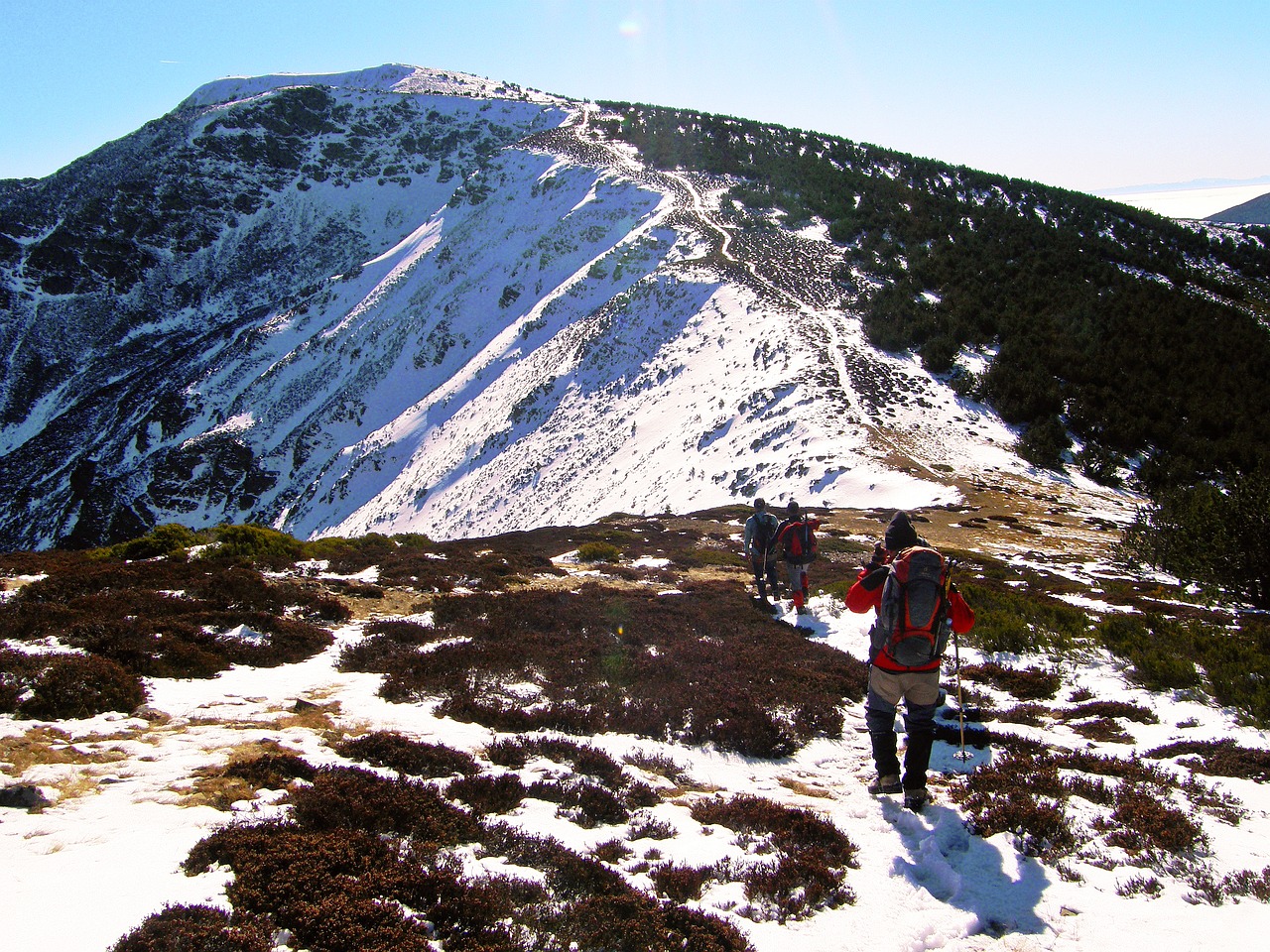 snow  mountain  winter free photo