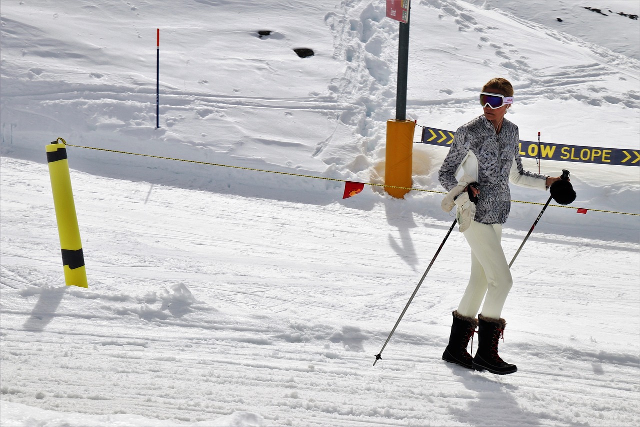 snow  winter  sport free photo