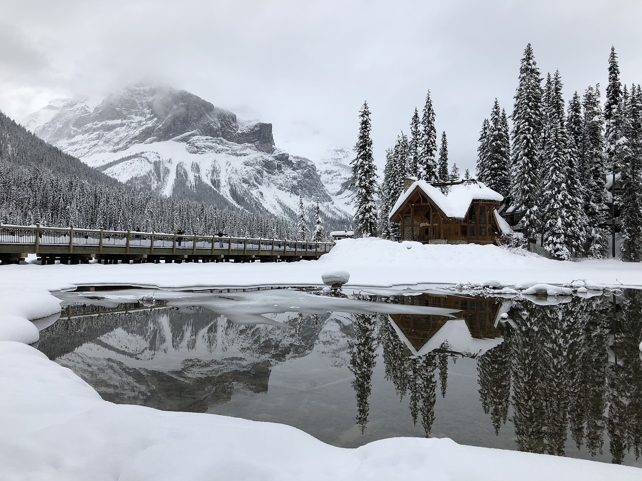 snow  winter  mountain free photo