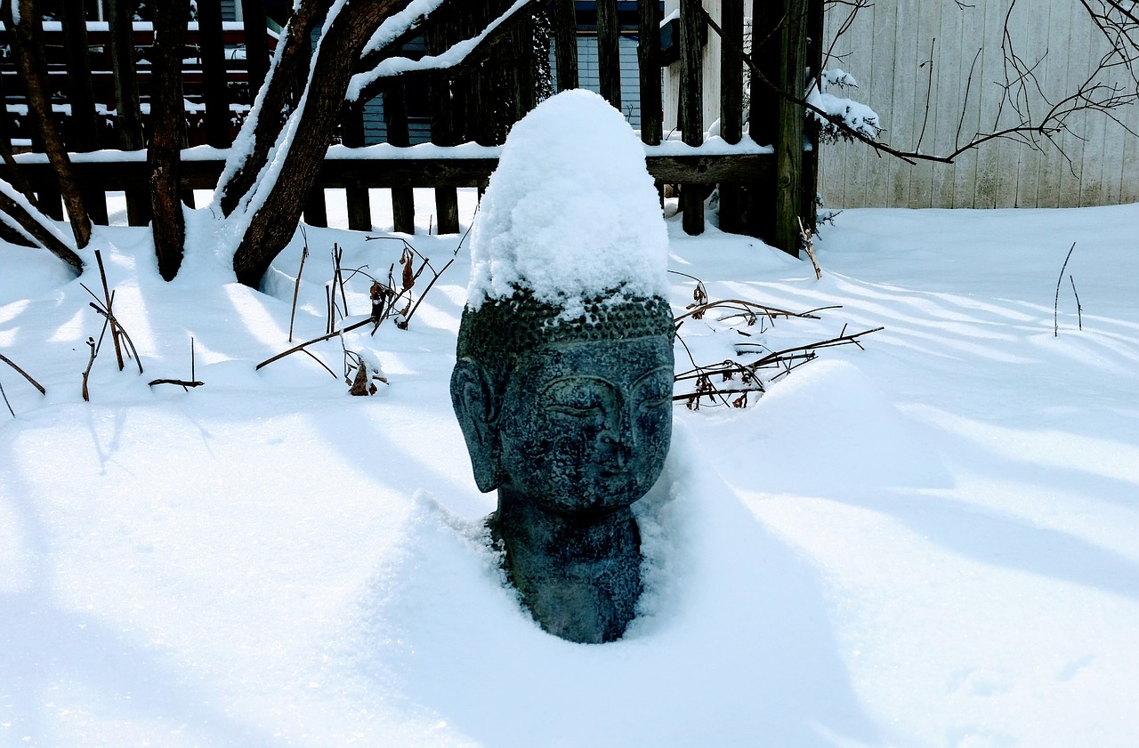 snow  buddha  winter free photo