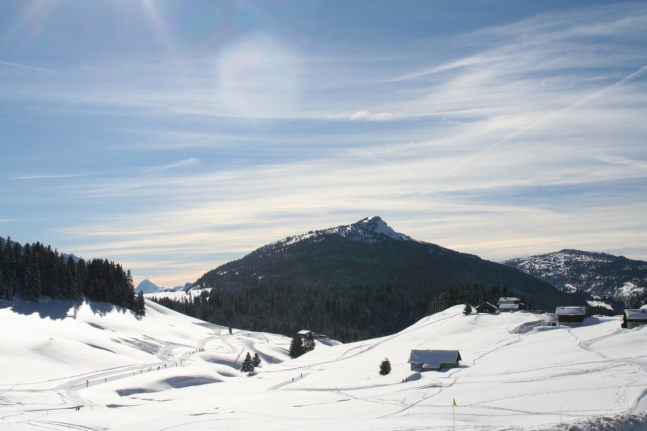 snow  winter  mountain free photo