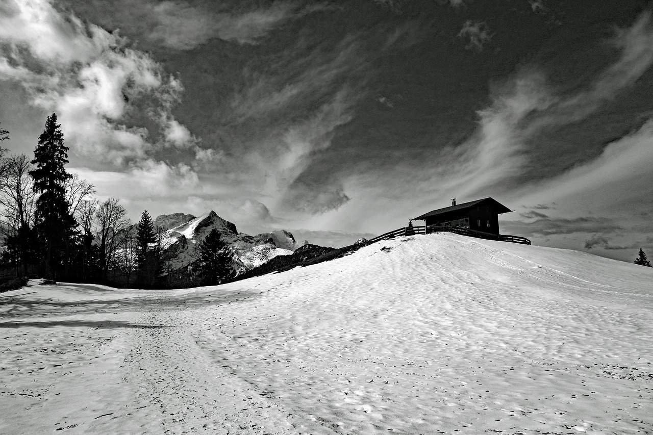 snow  winter  landscape free photo