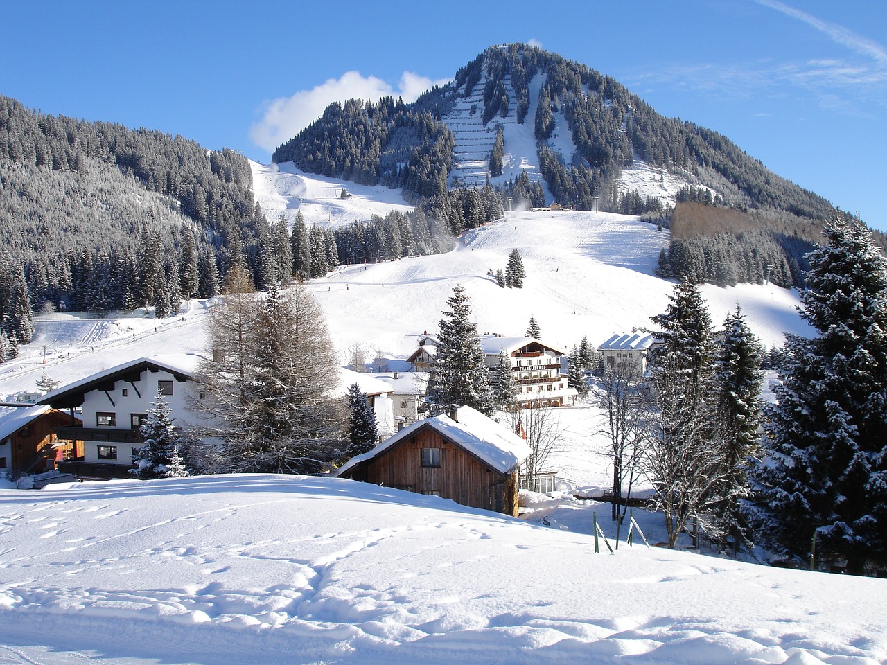 snow  winter  berwang free photo